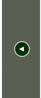 Previous